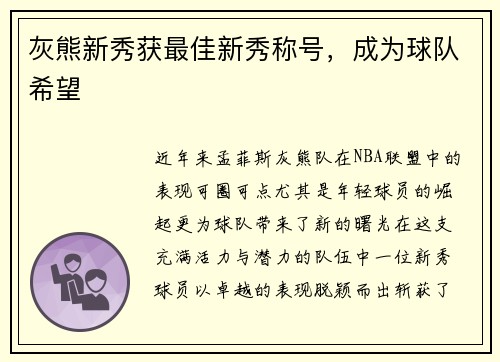 灰熊新秀获最佳新秀称号，成为球队希望